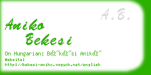 aniko bekesi business card